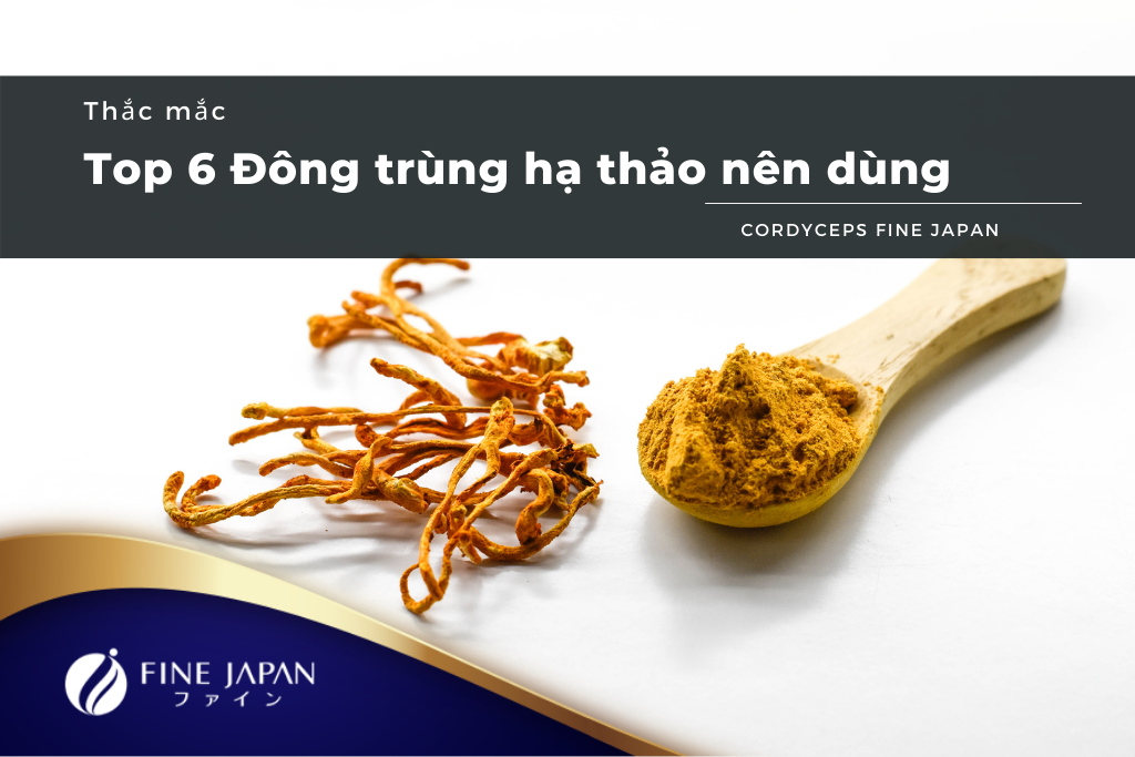 Top Các Loại Đông Trùng Hạ Thảo Nên Mua