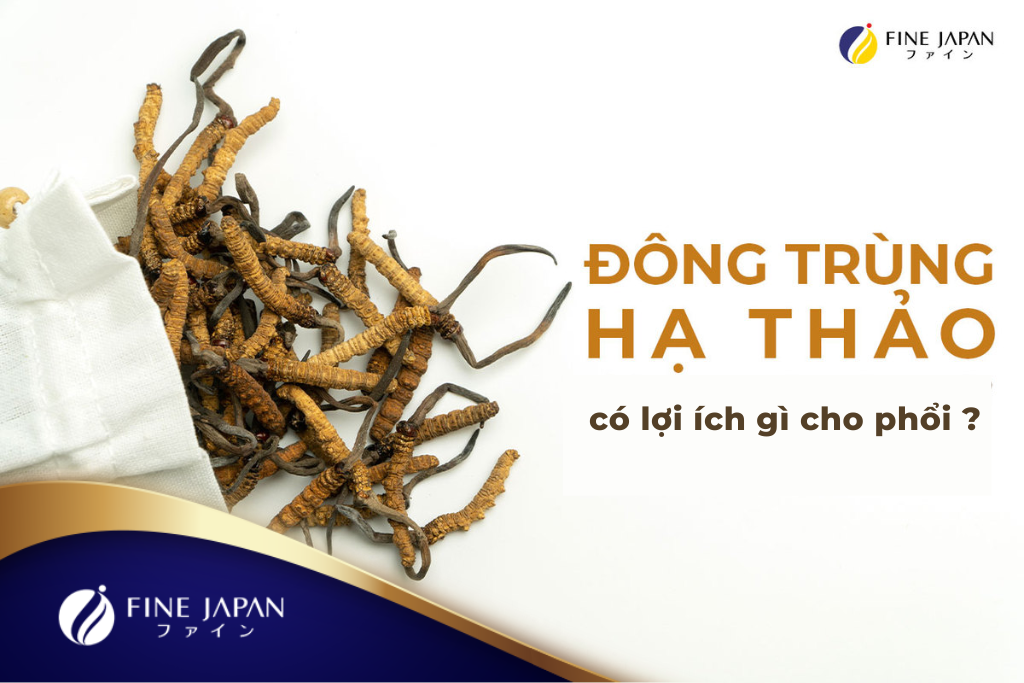 Thực Hư Về Công Dụng Bổ Phổi Của Đông Trùng Hạ Thảo