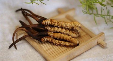 Bị Khó Ngủ Nên Làm Gì? Top 5 Cách Dễ Ngủ Hiệu Quả Nhất Bị Khó Ngủ Nên Làm Gì? Top 5 Cách Dễ Ngủ Hiệu Quả Nhất