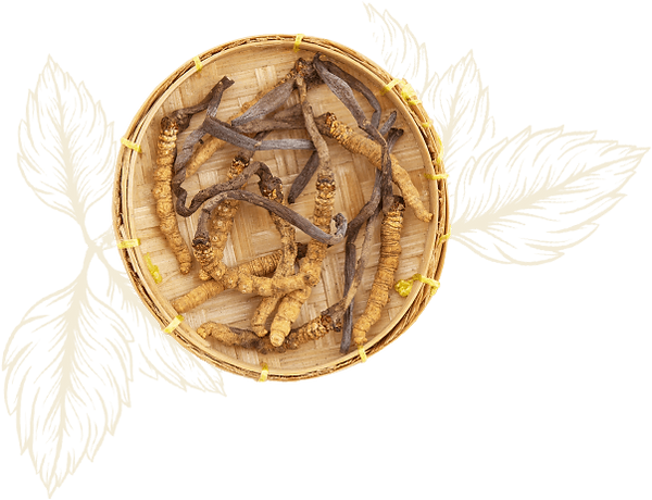 Top 10 Cách Trị Mất Ngủ Ban Đêm Dành Cho Người Trung Niên Và Người Lớn Tuổi Top 10 Cách Trị Mất Ngủ Ban Đêm Dành Cho Người Trung Niên Và Người Lớn Tuổi