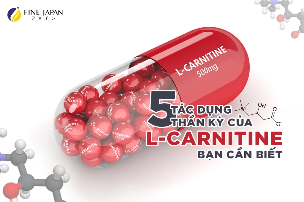 5 tác dụng thần kỳ của L-Carnitine bạn cần biết