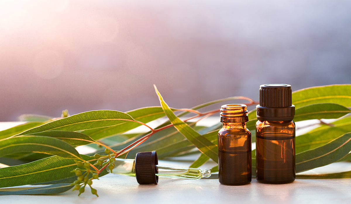 Lợi ích của xông tinh dầu trong mùa dịch Lợi ích của xông tinh dầu trong mùa dịch