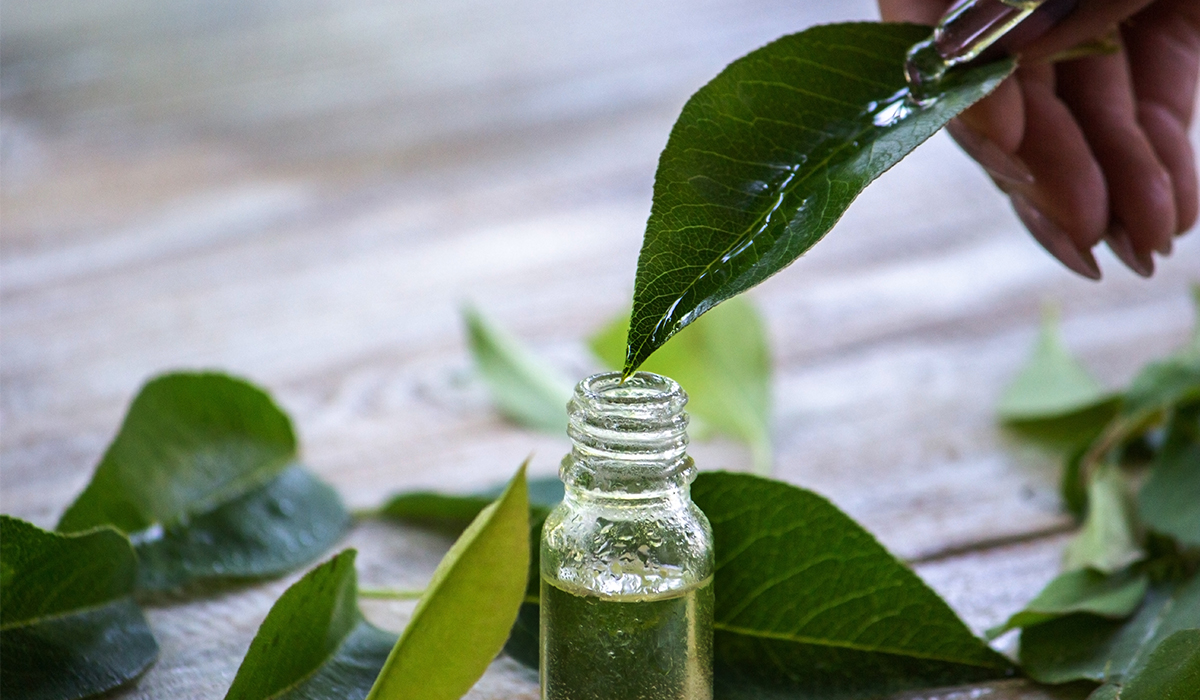 Lợi ích của xông tinh dầu trong mùa dịch Lợi ích của xông tinh dầu trong mùa dịch