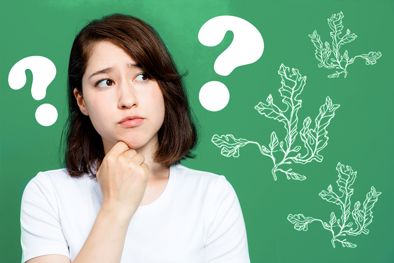 Uống Fucoidan có tốt không?