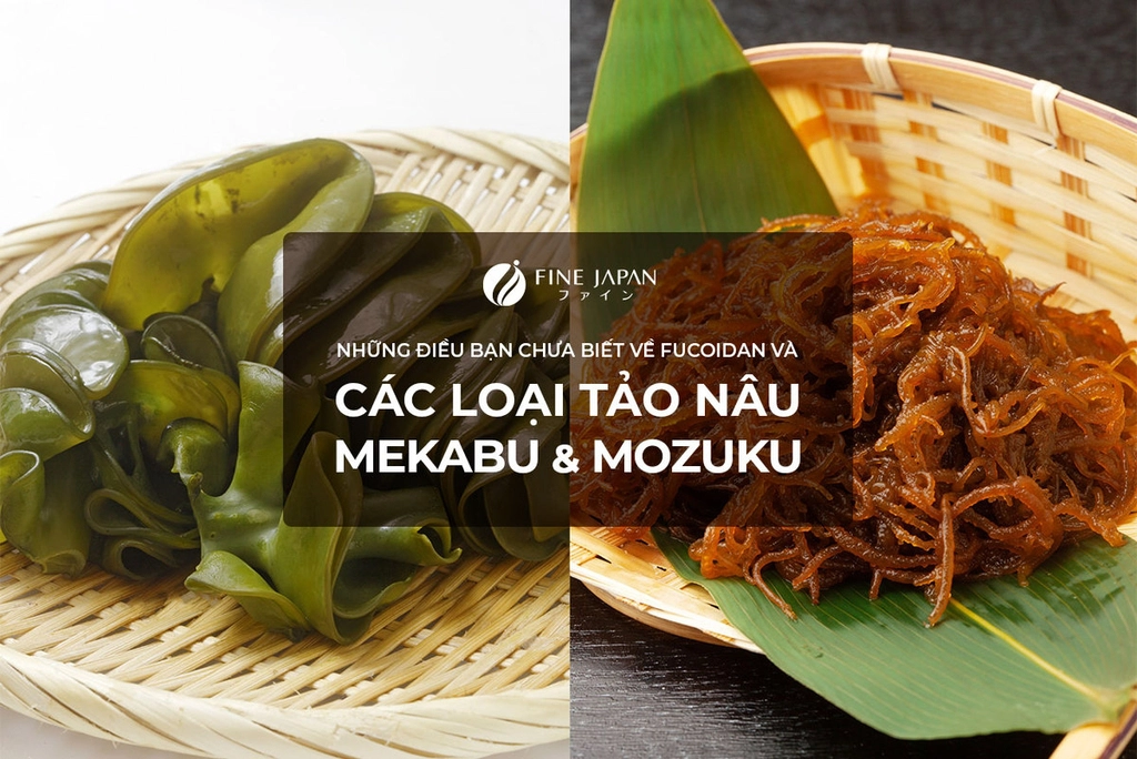 Những Sự Thật Có Thể Bạn Chưa Biết Về Tảo Nâu Nhật Bản