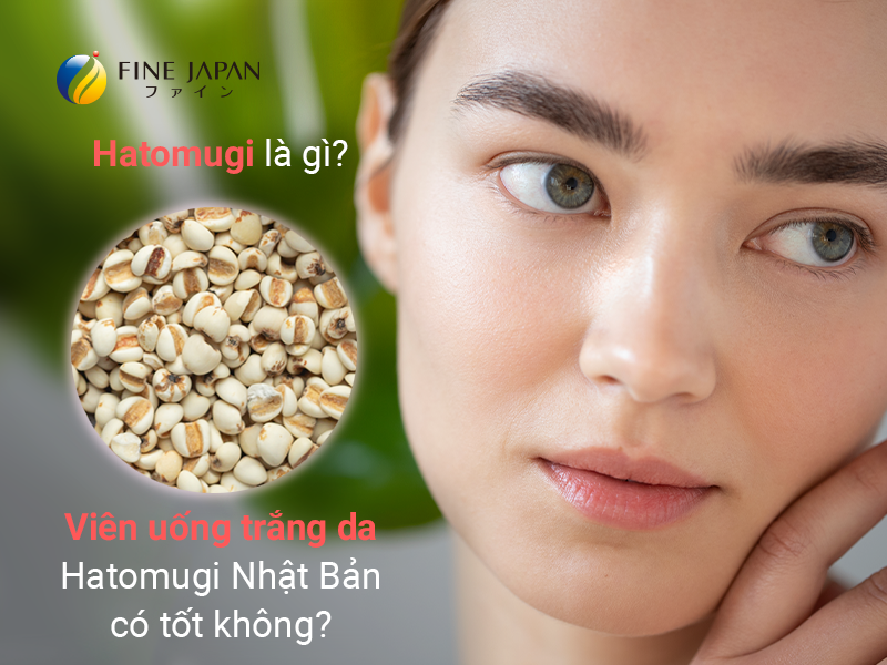 Hatomugi là gì? Viên uống trắng da Hatomugi Nhật Bản có tốt không?