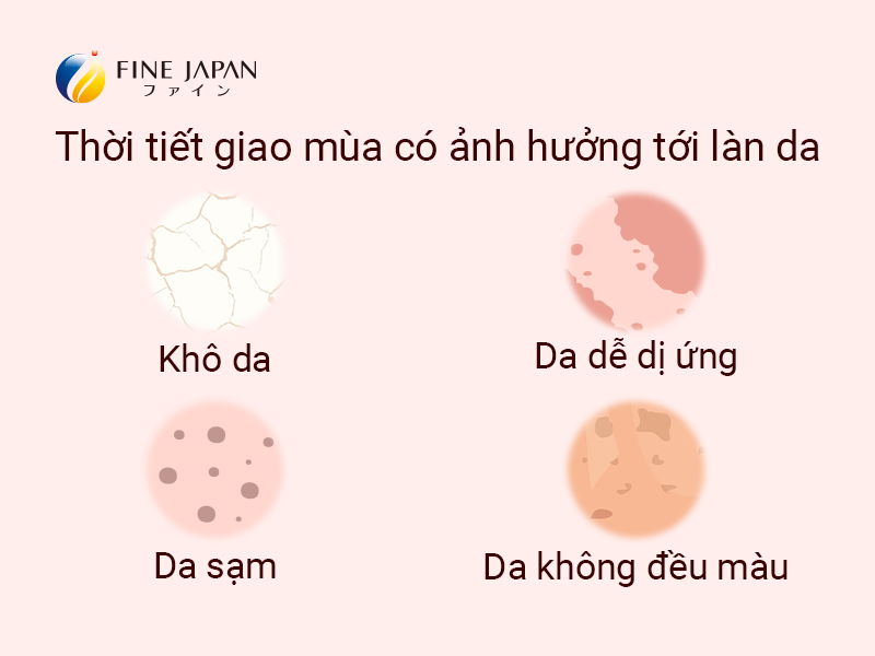 Top 10+ Cách Sử Dụng Bột Trà Xanh Giảm Cân An Toàn, Hiệu Quả 5 nguyên tắc chăm sóc da vào thời điểm giao mùa