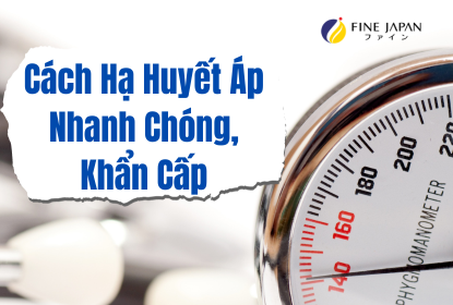 Top 10+ Cách Hạ Huyết Áp Nhanh Chóng, Khẩn Cấp Tại Nhà Hiệu Quả Nhất