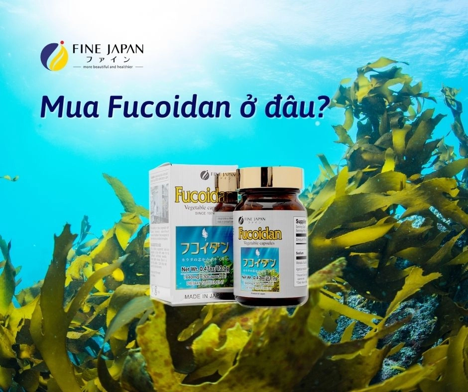 Mua Fucoidan tốt nhất ở đâu? Fucoidan Nhật Bản Loại Nào Tốt?