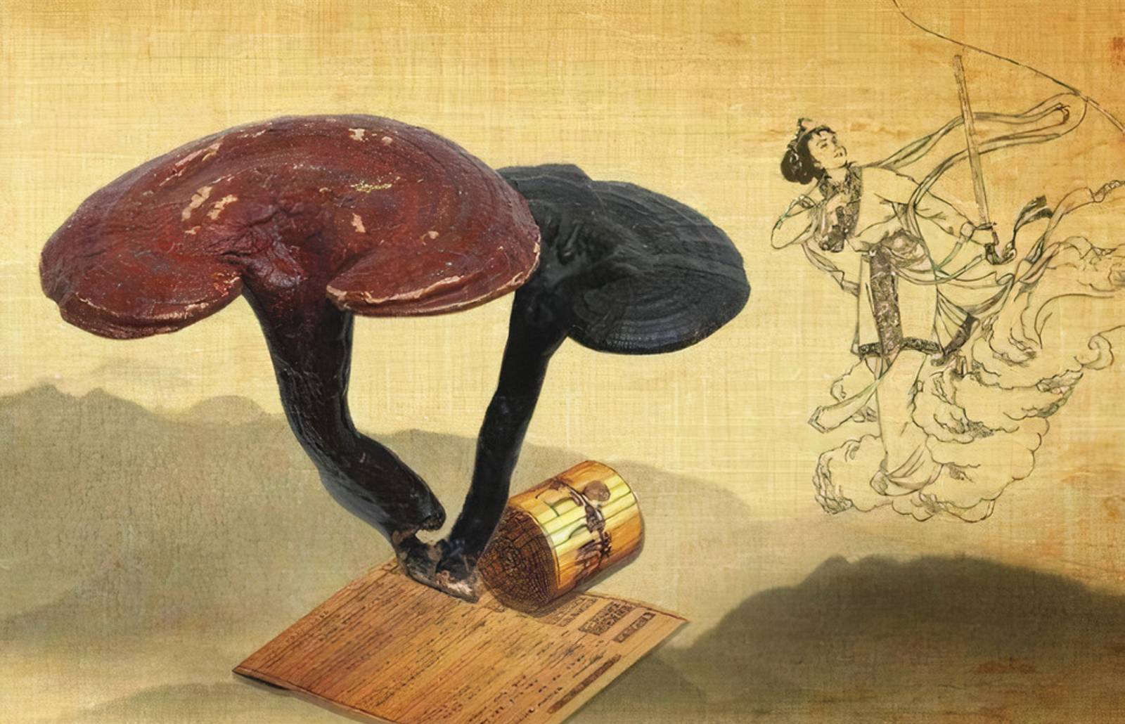 Top 10+ Cách sử dụng Nấm Linh Chi hiệu quả, đơn giản Top 10+ Cách sử dụng Nấm Linh Chi hiệu quả, đơn giản