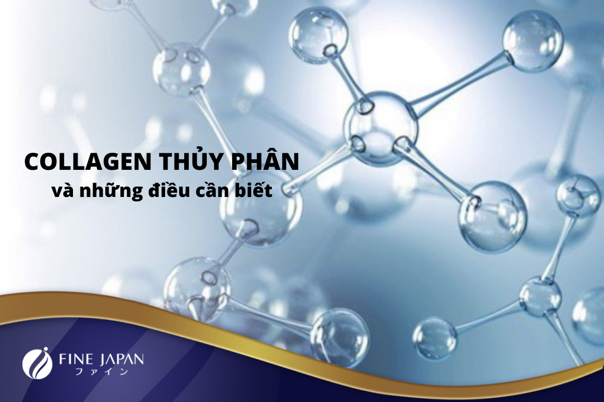 4 điều cần biết về collagen thủy phân