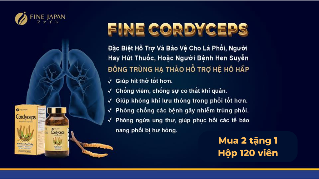 Thực Hư Về Công Dụng Bổ Phổi Của Đông Trùng Hạ Thảo Thực Hư Về Công Dụng Bổ Phổi Của Đông Trùng Hạ Thảo