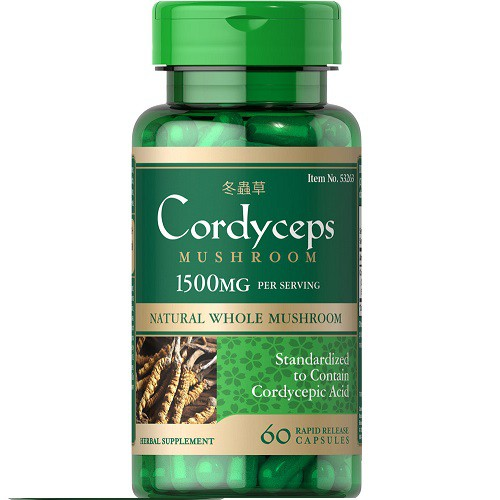 Top Các Loại Đông Trùng Hạ Thảo Nên Mua